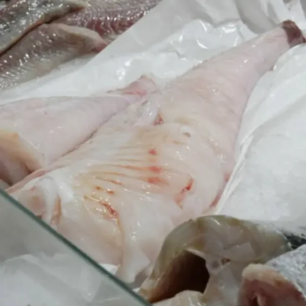 Bacalao