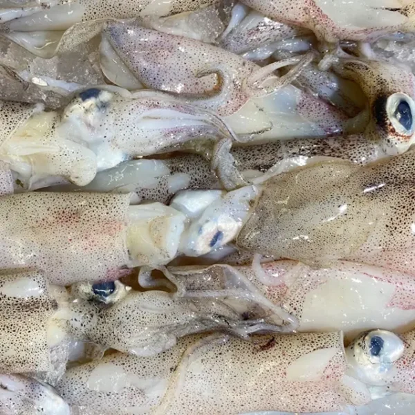 Calamares