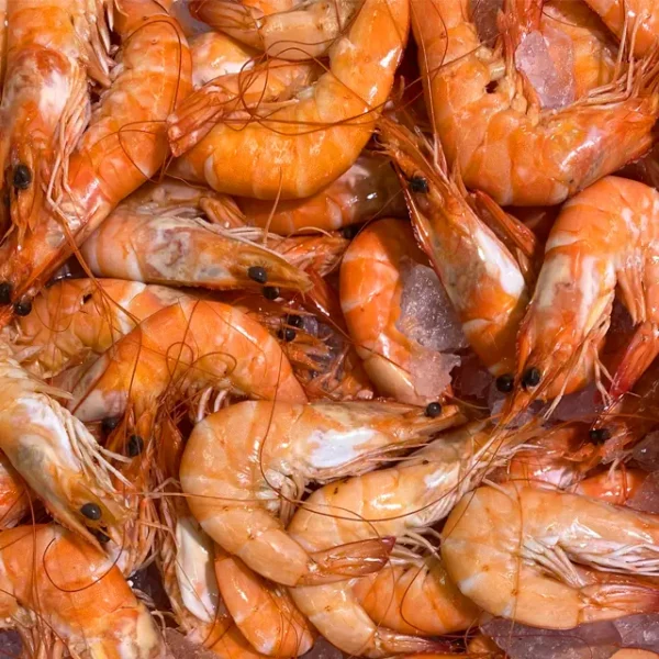 Langostinos