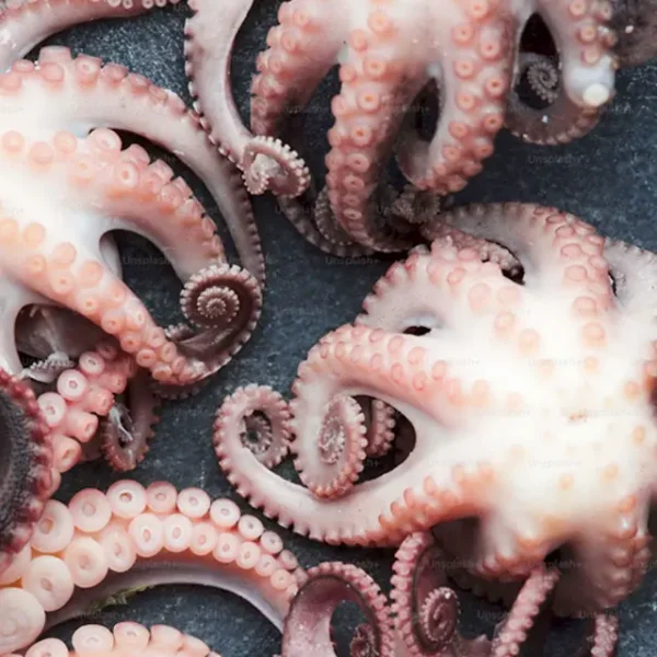 Pulpo