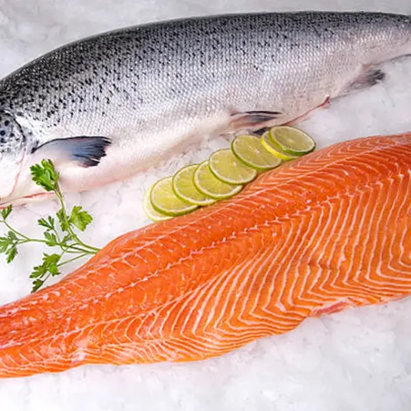 Salmón